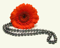 Zuchtperlen Collier - Aperlea