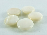 Muschelperle Elfenbein von Aperlea