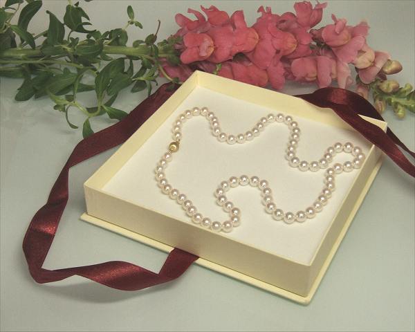 Schmuck Etui