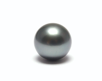 Schwarze Perlen - Aperlea