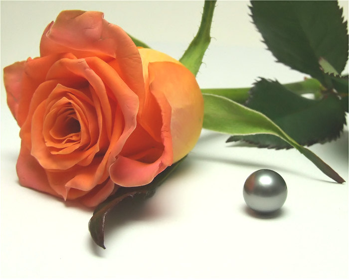 Einzelne Perlen - Aperlea