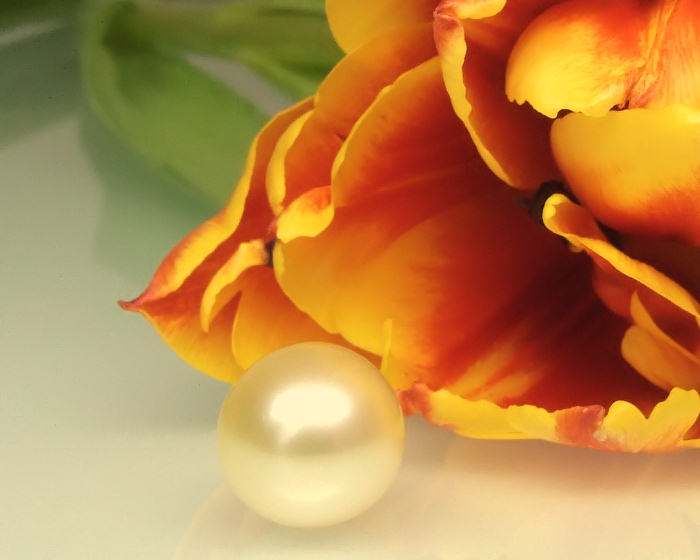 Südsee Perle - Aperlea