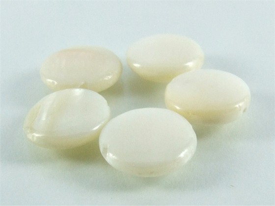 Muschelperle Elfenbein von Aperlea